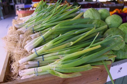 Image of green onions at a Farmer's Market