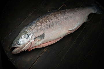 Big fresh salmon on dark wooden background 