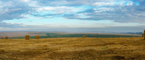 Haystacks in farm field during foggy morning.Summer rural landscape.