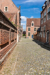 Fototapeta na wymiar Le célèbre Grand Béguinage de Louvain en Belgique avec ses rues anciennes bordées de magnifiques maisons flamandes anciennes en briques