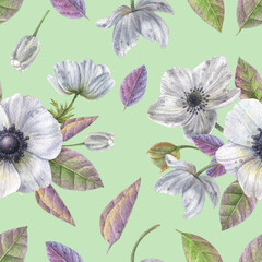 Watercolor seamless pattern with illustration of beautiful white anemones flowers and bright leaves on a light green background