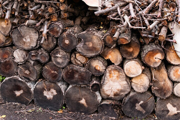 Prepared firewood for the grill and stove. Sawn down thick and thin tree trunks, wet and wet logs, stacked on rubble, a beautiful brown color of rich bark