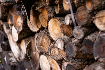 Prepared firewood for the grill and stove. Sawn down thick and thin tree trunks, wet and wet logs, stacked on rubble, a beautiful brown color of rich bark