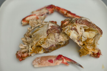 Centollo macho pescado en las rías gallegas