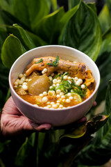 vegetable soup with meatballs