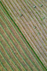 Agricultural landscape, Springtime, La Gándara, Soba Valley, Valles Pasiegos, Cantabria, Spain, Europe