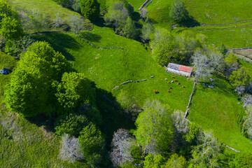 Cabañas Pasiegas, Agricultural landscape, Springtime, Portillo de la Sía, Soba Valley, Valles Pasiegos, Cantabria, Spain, Europe