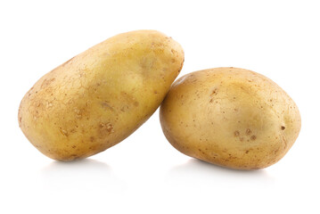 potato an isolated on a white background