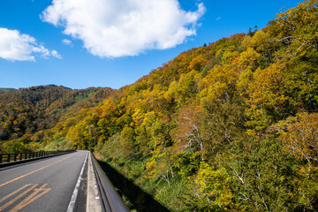 秋の知床　知床横断道路と沿道の紅葉（北海道・羅臼町）