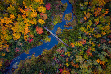 Beautiful look down travel aerial of pedestrian foot bridge over Carp River near Lake of the Clouds on top of Porcupine Mountain in Upper Michigan with gorgeous colorful fall leaf foliage in autumn.