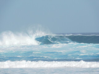 Fototapeta premium A little bit of Canary iselands