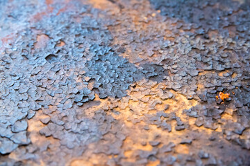 Rusty texture. Grunge background. Dry ground and old metal.