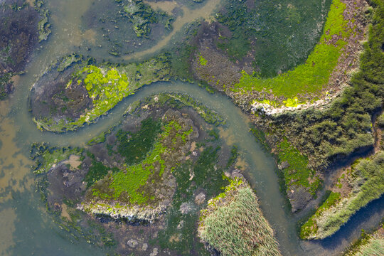 Tidal Marsh, Tidal Wetland (MARISMA), Low Tide, Rada, Marismas de Santoña, Victoria y Joyel Natural Park, Cantabria, Spain, Europe