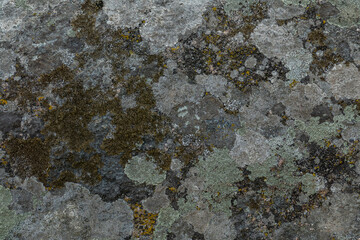 Dark abstract natural stone texture. Background for packaging and design. Stone wall pattern.