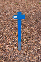 Indicator sign in blue with a place for an inscription on a background of dry autumn leaves