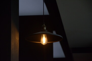 Fototapeta na wymiar lightbulb in the dark