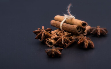 anise and cinnamon tied with string