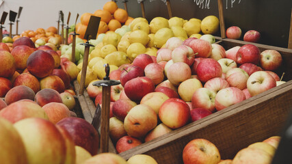 Variety fruits on store shelves - apples, peaches, lemons, oranges. Grocery department of supermarket, no people.