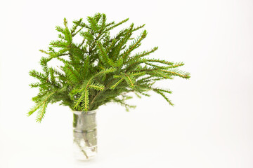 Bouquet in a glass vase made of natural spruce branches on a white background. Christmas, new year, Christmas tree, ecology, eco-friendliness, eco. Copy space