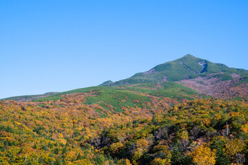 秋の知床　カムイワッカ湯の滝付近の紅葉（北海道・斜里町）