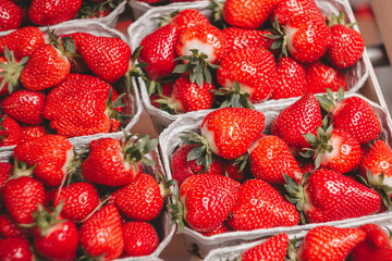 frische Erdbeeren auf dem Markt	