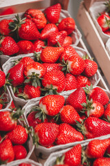 frische Erdbeeren auf dem Markt	