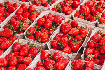 frische Erdbeeren auf dem Markt	