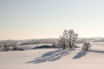 Frosty Winter day rural Minnesota, USA, trees covered with frost.