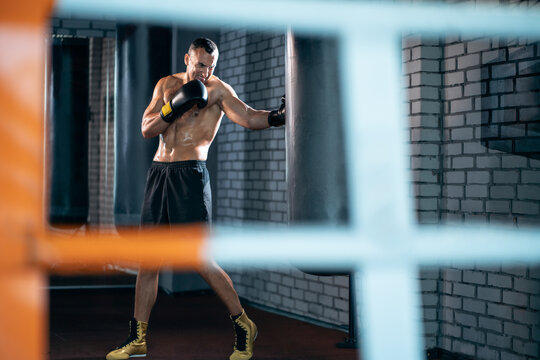 muscular boxer male workout and training with punching bag in gym