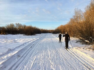 A couple cross country skiing along tracks using the classic method on a beautiful sunny winter day...