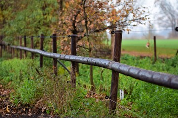 A pasture fence made of wooden slats and blue wire