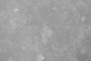 Close up of snow, snowflakes in the Winter in Minnesota. Christmas snow.