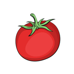 Tomato vector isolated illustration