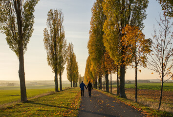 Ein Paar geht Hand in Hand im Herbst spazieren