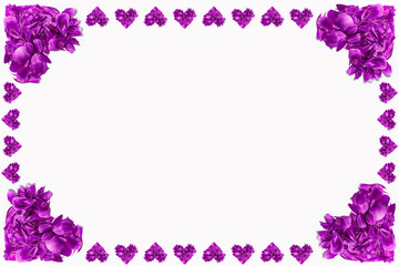 Fototapeta na wymiar Valentine's day card. Purple flower petals in shape of hearts on white background with mockup; copy space.