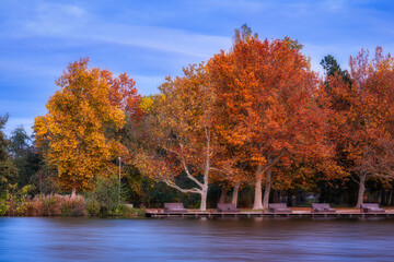 Colorful trees on the central island of the Boating Lake of Szombathely, Hungary during an autumn evening