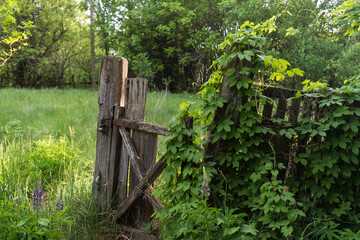 Naklejka premium Abandoned village of Chernobyl zone