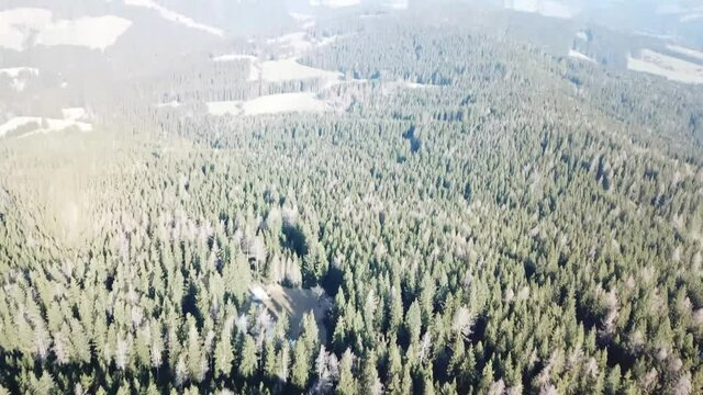 A top down capture of a couple standing at the top of rock formation hiding between tall forest in Austrian Alps. Early spring in Alps. The nature wakes up after hibernation. Adventure and achievement