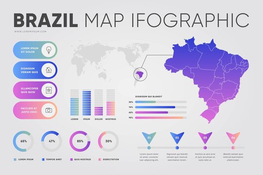 flat brazil map infographic