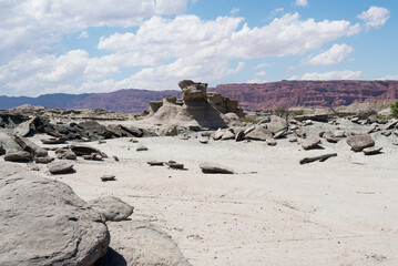 Fototapeta na wymiar vallée de la lune argentine parc ischigualasto désert sable