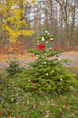 Geschmückter Tannenbaum am Wegrand mitten im Wald.