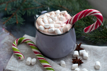 Obraz na płótnie Canvas Cup of hot cocoa with marshmallows and santa staff. Cup of New Year's and Christmas cocoa with marshmallows with fir branch and sweets on grey background.