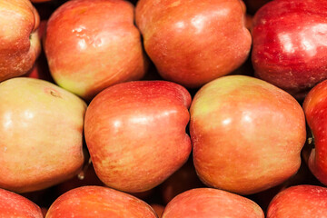 Food and drinks. Everyday food