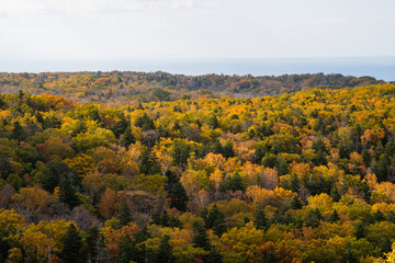 Fototapeta premium 秋の知床 カムイワッカへの道から見た紅葉の原野とオホーツク海（北海道・斜里町）