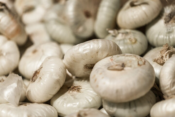 Food and drinks. Everyday food