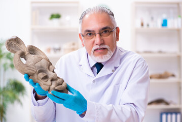 Senior archaeologist studying ancient african stonemask