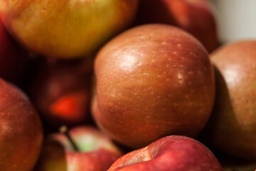 Food and drinks. Everyday food