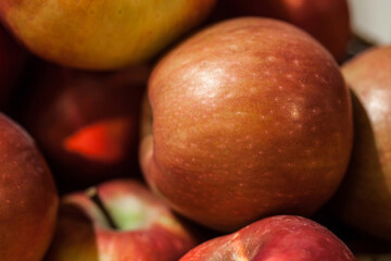 Food and drinks. Everyday food