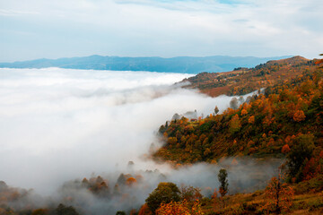 Sea of ​​clouds autumn colorful trees high mountains