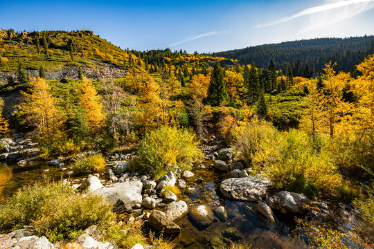 An Autumn Scenery Of The North Yuba River With Trees Changing Colors On The Mountain Side.